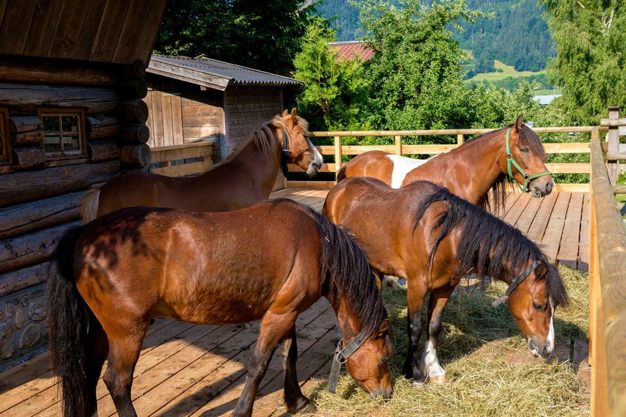 Ferienhaus / Chalet Lerch Villa Sankt Johann im Pongau Exterior foto